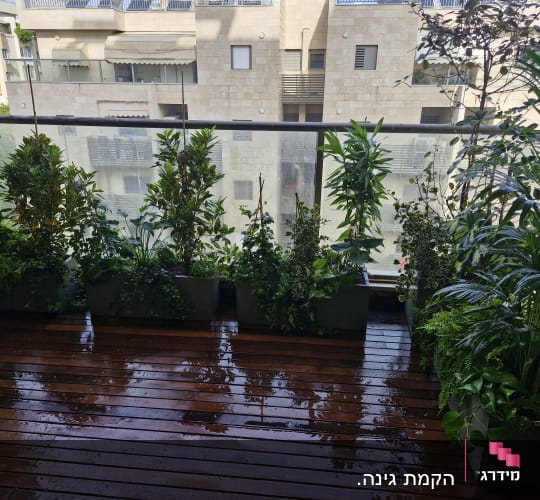 עציצים וצמחים על מרפסת עץ רטובה